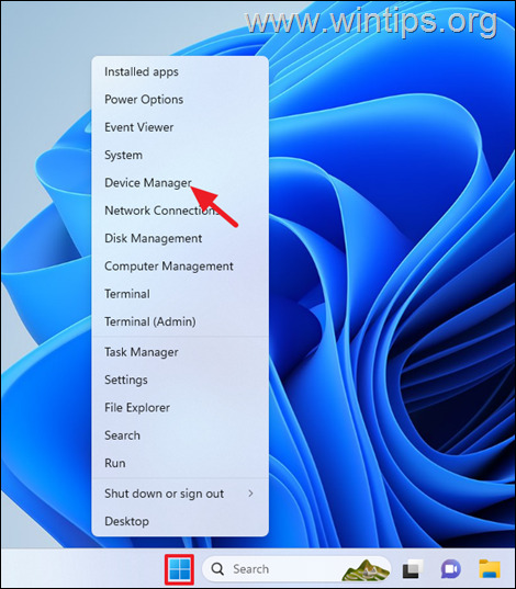 Device Manager