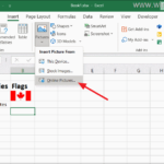 How to Insert Pictures/Images in Excel.