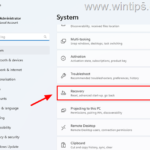 How to Boot in Windows Recovery Environment (WinRE) on Windows 10/11.