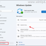 How to Uninstall Updates in Windows 11 (All Methods).