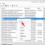 FIX: Windows Modules Installer High CPU Usage (Solved)